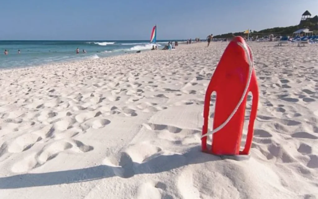 nauagosostis paralia