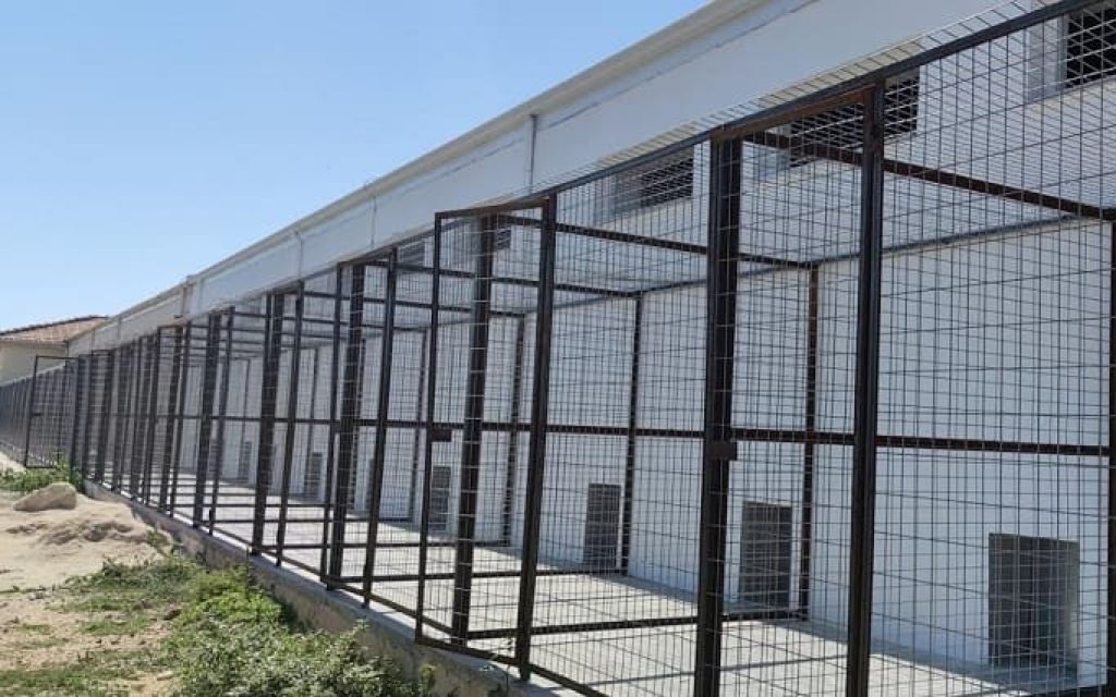 nea pteriga adespoton