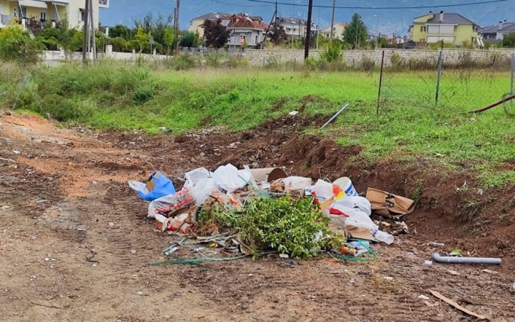 ogkodi kardamitsia 1