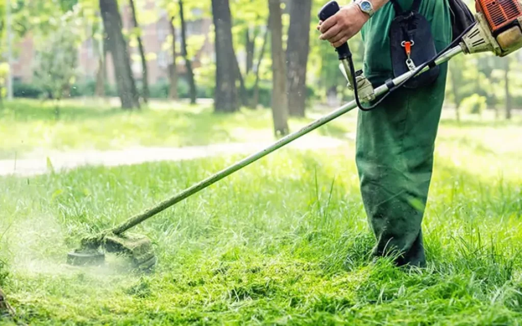 oikopedo katarismos 1