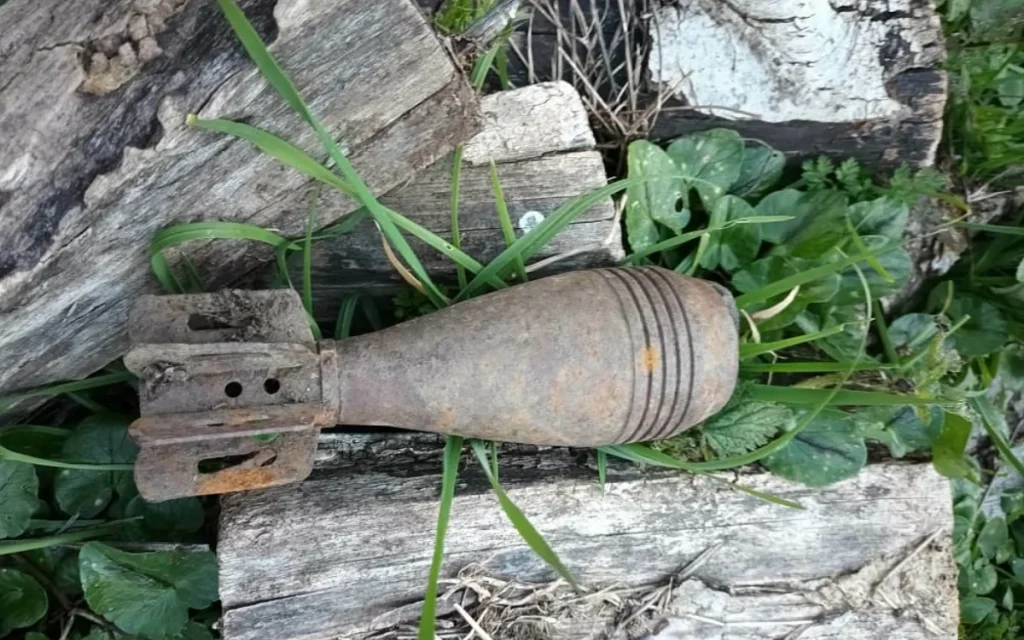 ovida pogoni