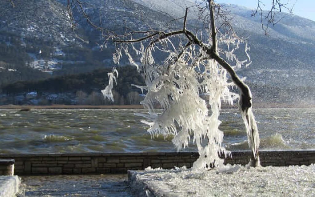 pagomeni paralimnios