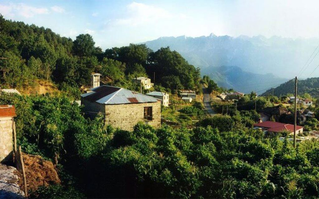 palioseli 1