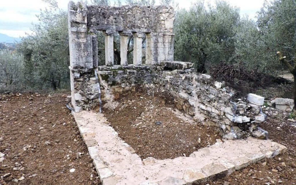 pandimia istoria