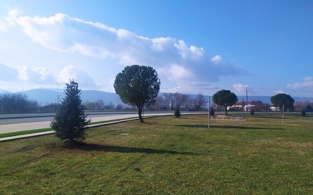 panipeirotiko dentra