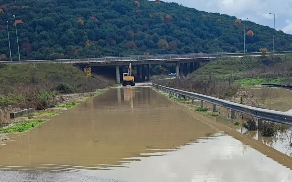 paraegnatia koutselio