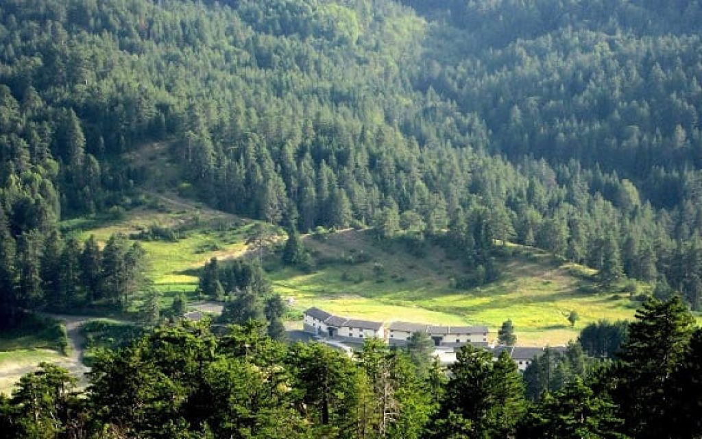 parko etnikis simfiliosis