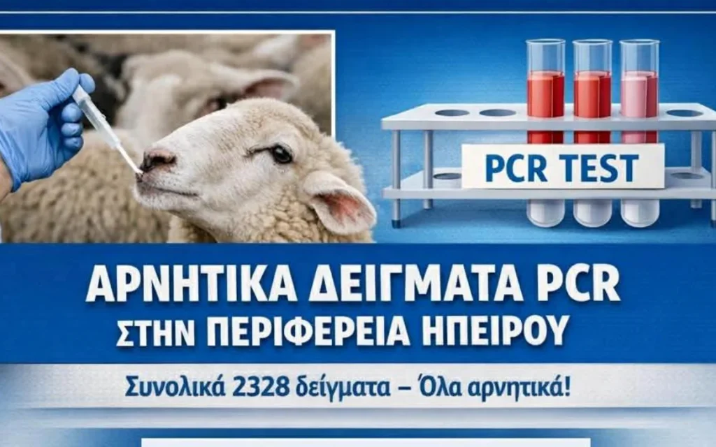pcr eulogia