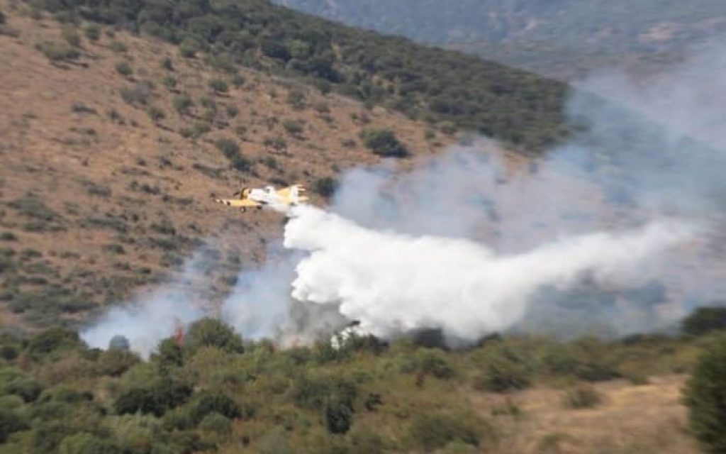 petzetel mesopotamos