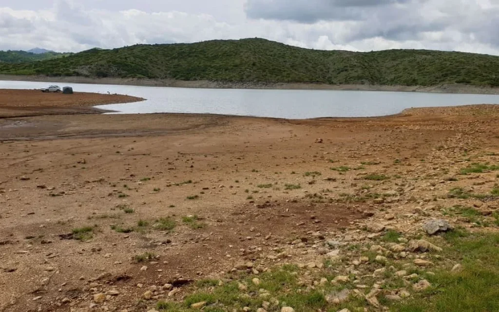 piges aoou statmi (1)