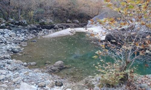 piges vikos