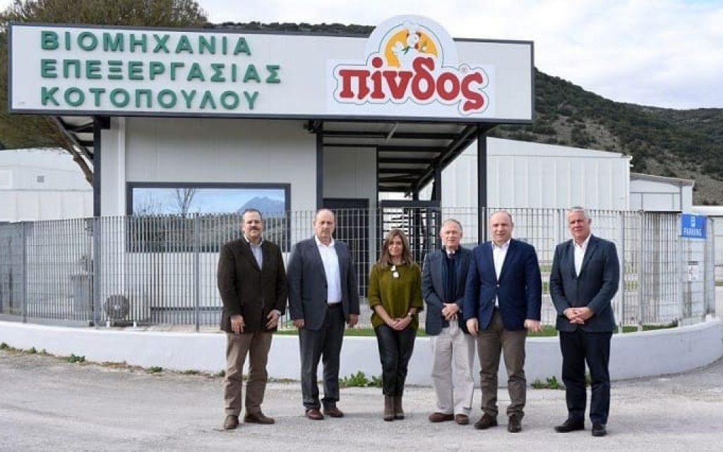 pindos amerikaniki