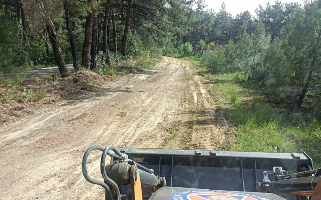 piroprostasia aftodi