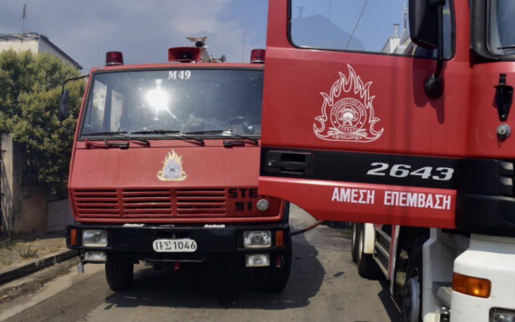 pirosvestika oximata