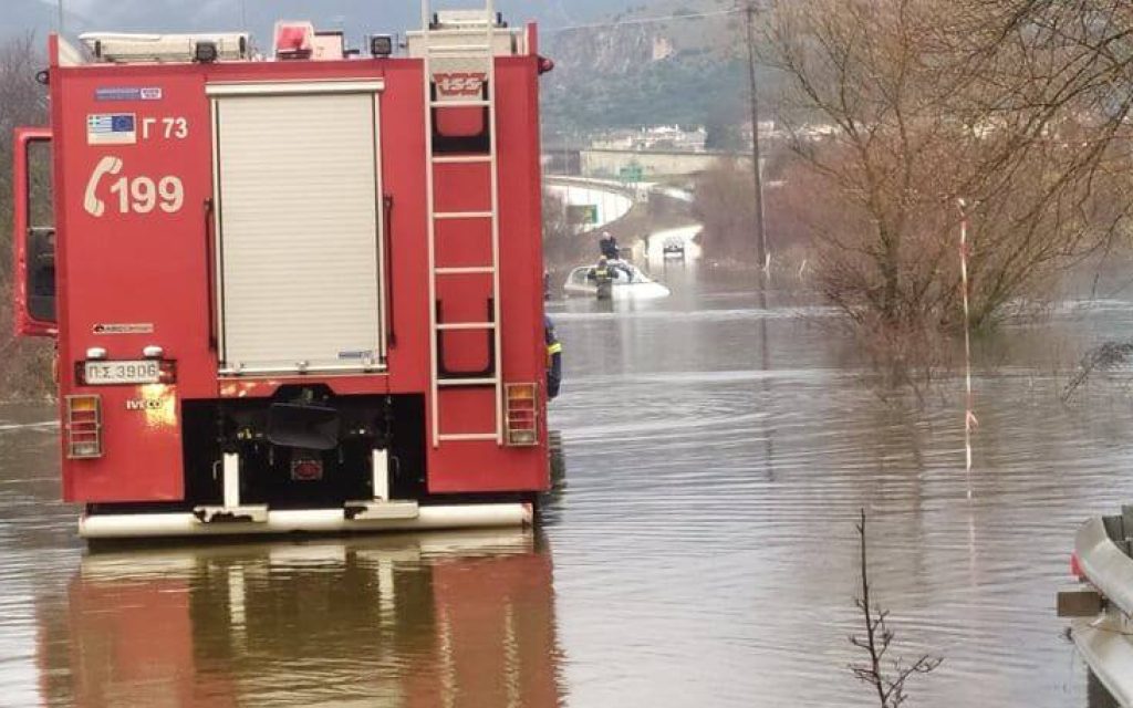pirosvestiki plimmira pedini