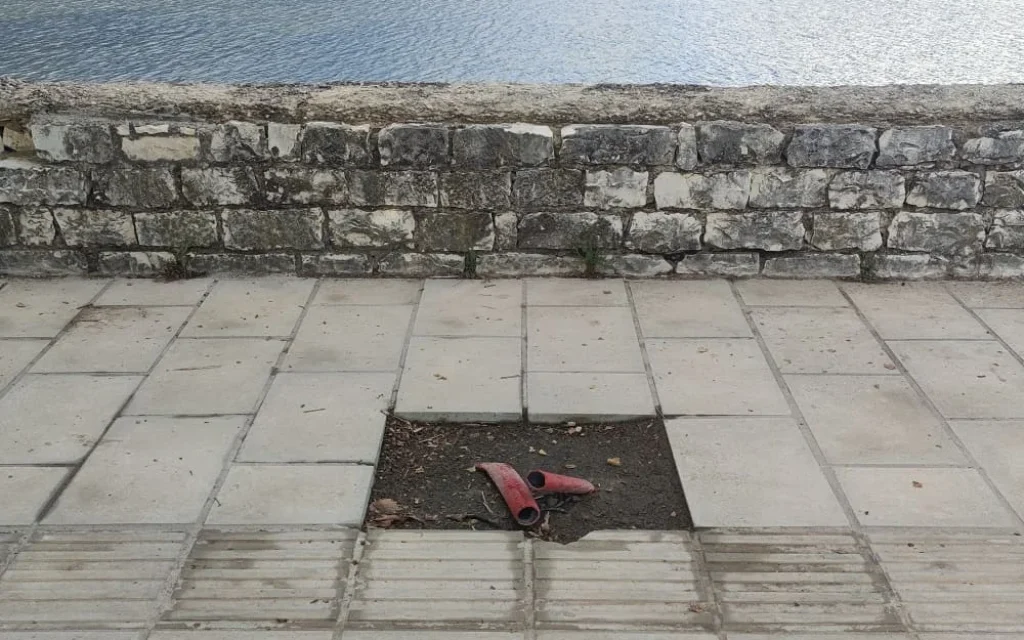 plakakia paralimnios