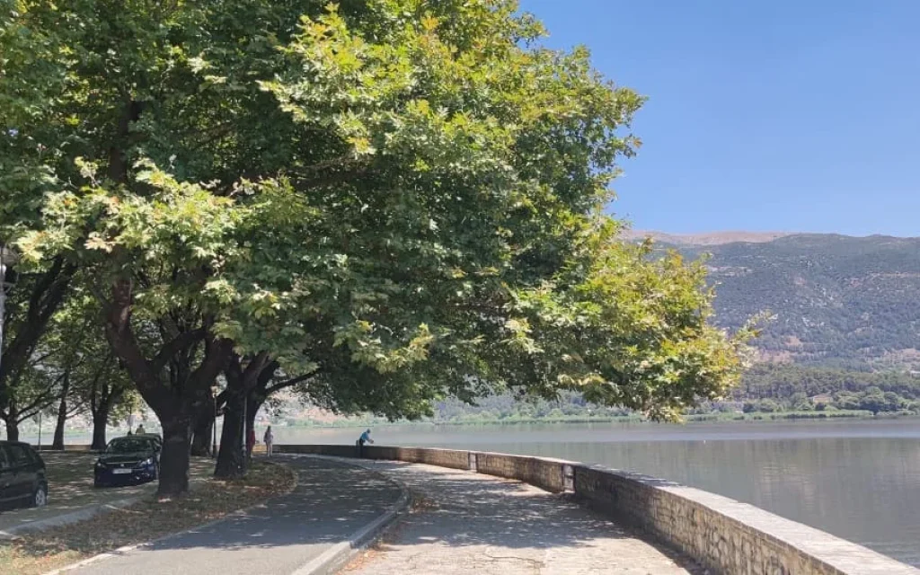 platania paralimnios