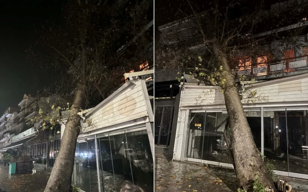 platanos igoumenitsa