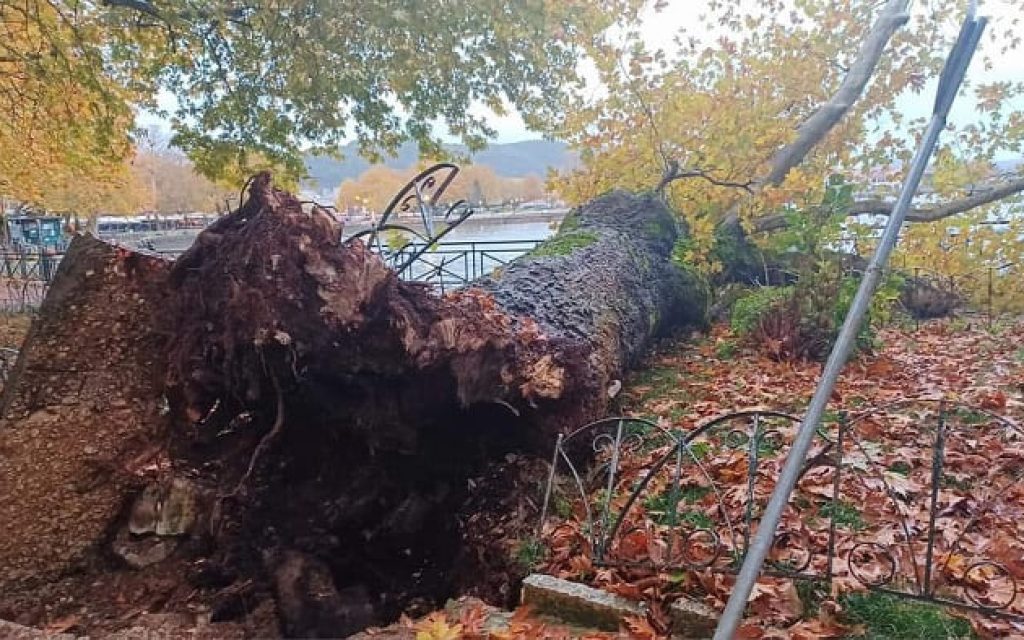platanos paralimnios