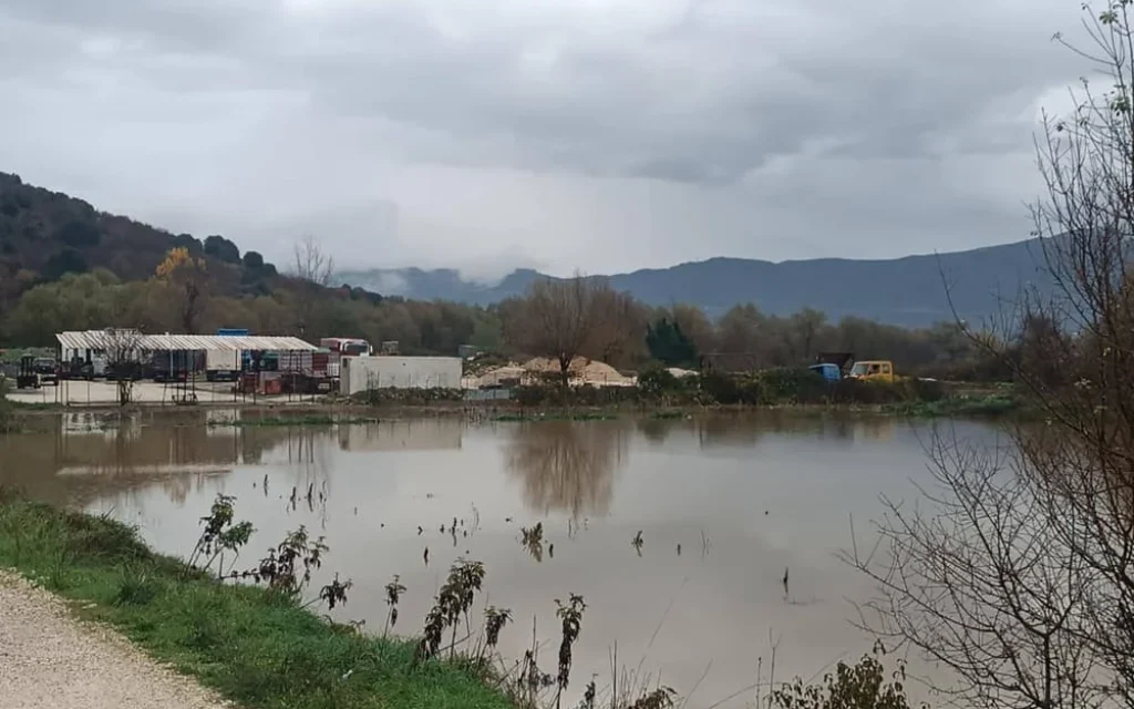 plimmira lekanopedio