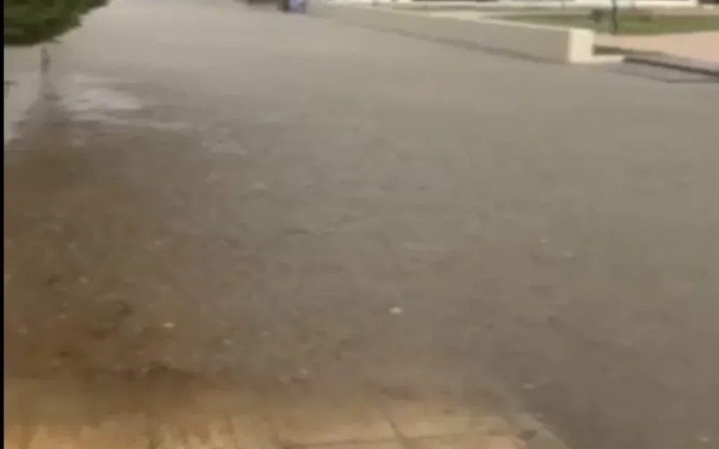 plimmira magklareika