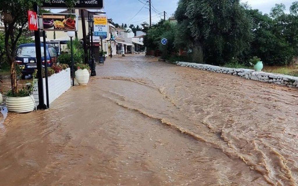 plimmira sivota1