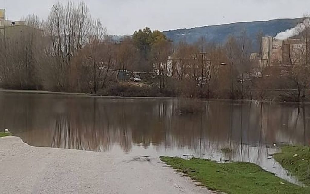 plimmires lekanopedio