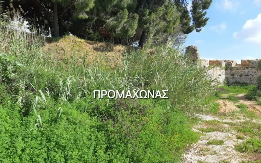 promaxonaw