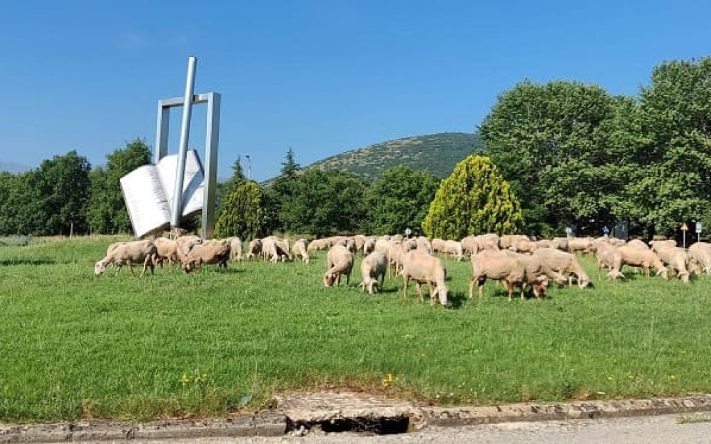 provata pan