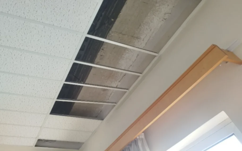 psedorofi panepistimio