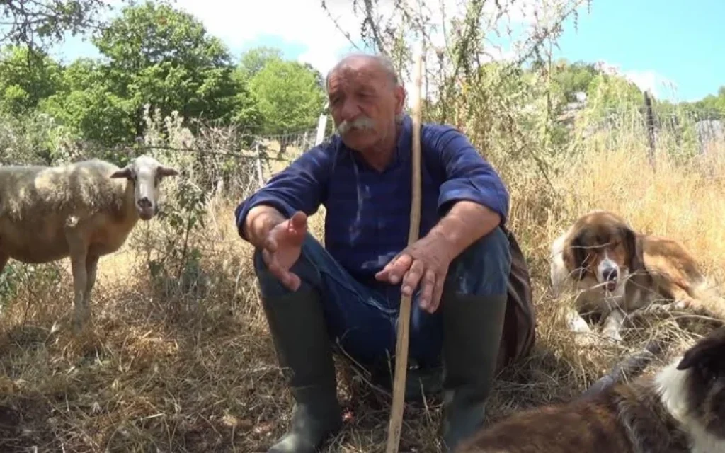 sarakatsanos ktinotrofos