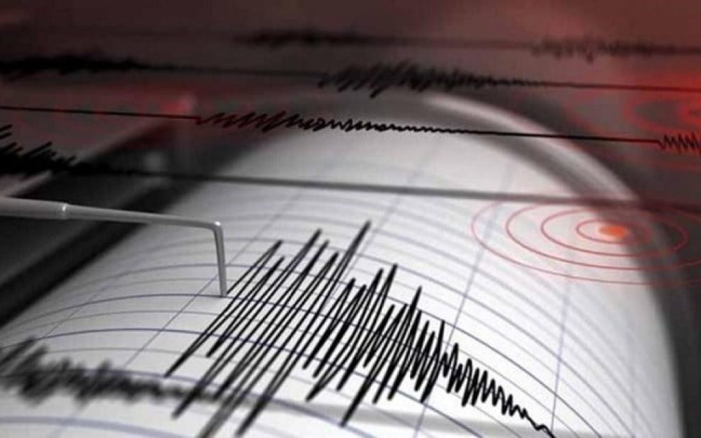 seismografos workenter