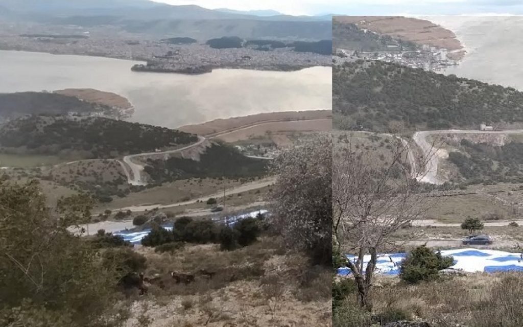 simaia l