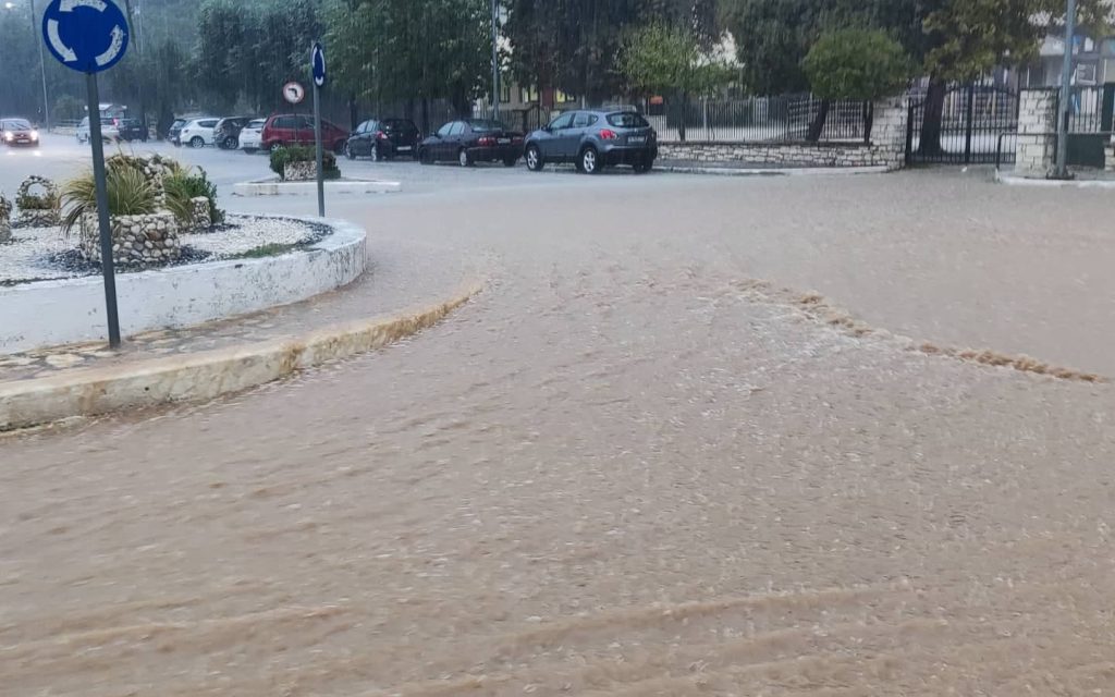 sivota plimmires 1