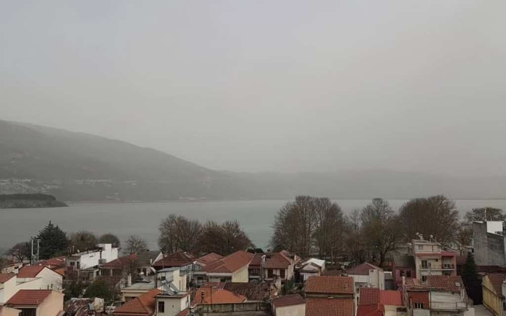 skoni ioannina1