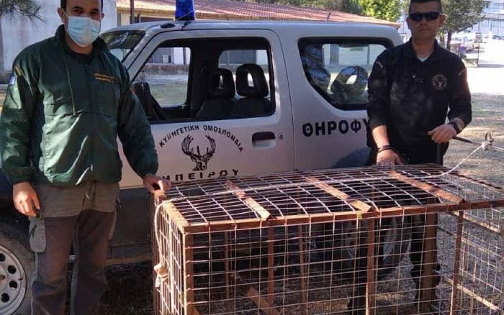 tirofilakes tzoumerka