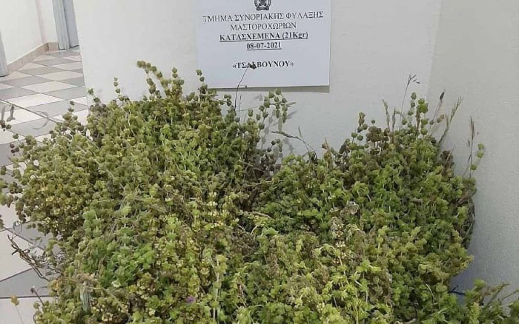 tsai vounou