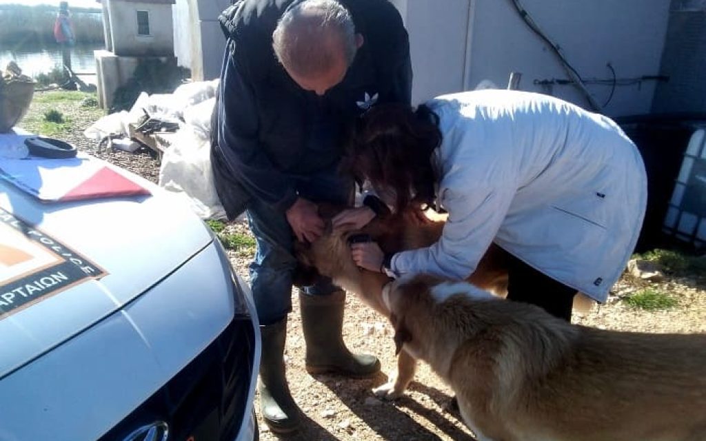 tsiparisma sti bigla 8