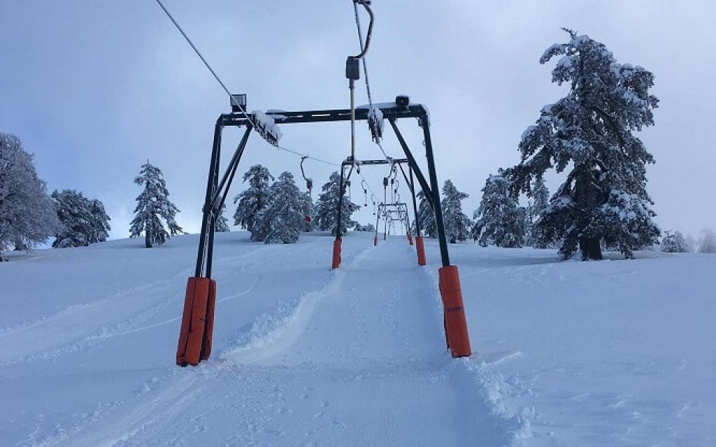 vasilitsa proponiseis