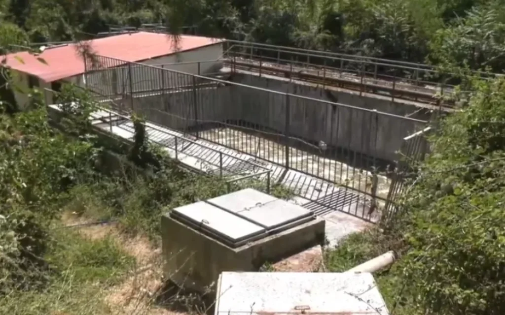 viologikos xatzikosta