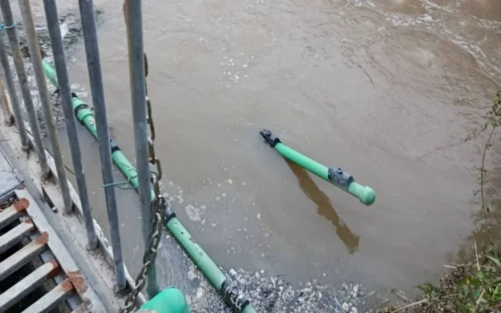 viologikos xatzikosta