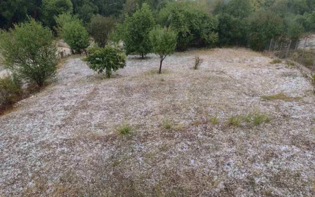 xalazi marmara ()