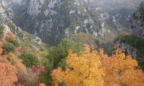 zagori fisi