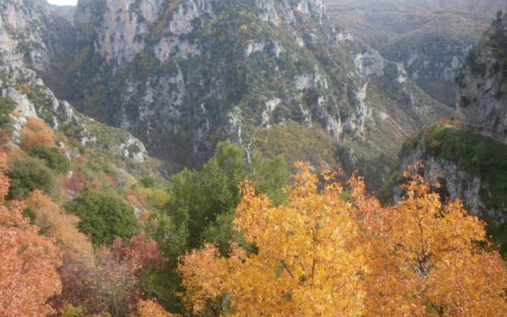 zagori fisi