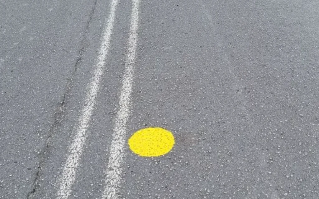 κιτρινεσ ωοθλεσ